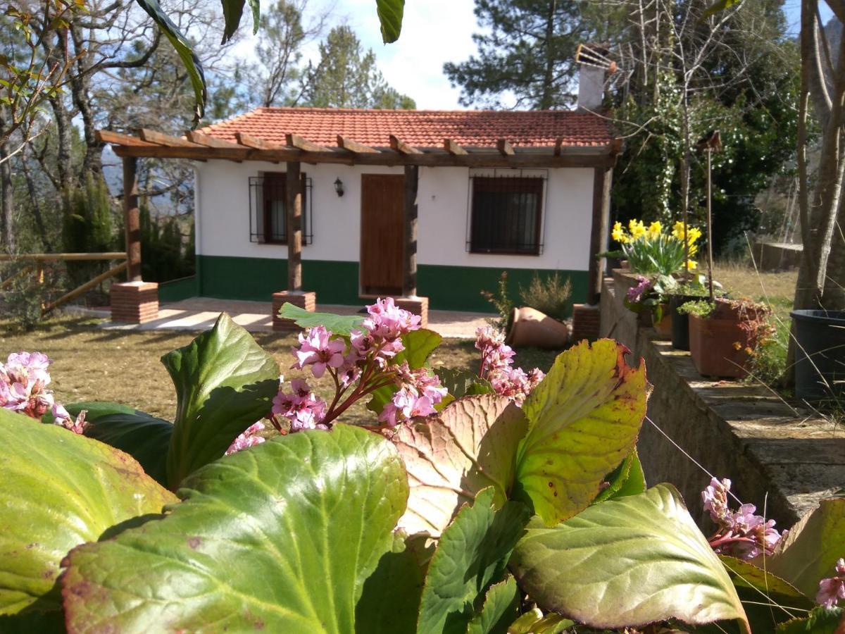 Appartamento Casa Balbina Arroyo Frio Esterno foto